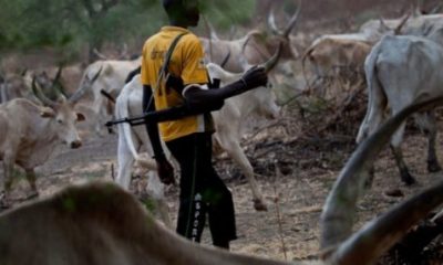 ‘When will Buhari start talking to herdsmen in language they understand?’