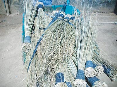 Cross River APC orders 3 million brooms