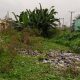 Port Harcourt Road, Aba: Old Boys’ tortuous ride to dying alma mater