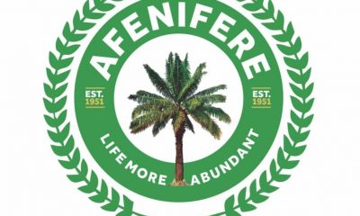 Afenifere hails court ruling on VAT, says it enhances true federalism