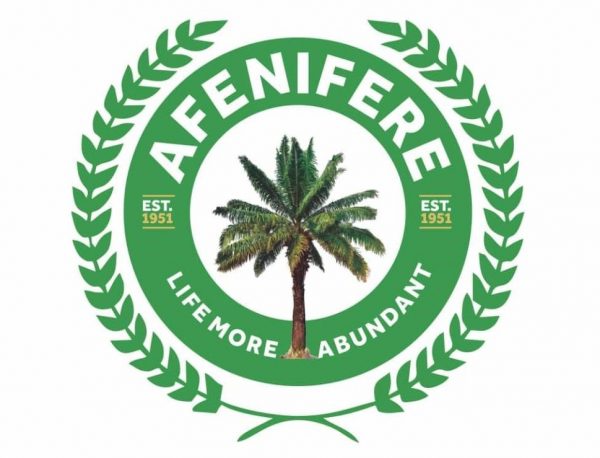 Afenifere hails court ruling on VAT, says it enhances true federalism