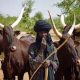 We’re not violent, killer herders – Fulani Christians