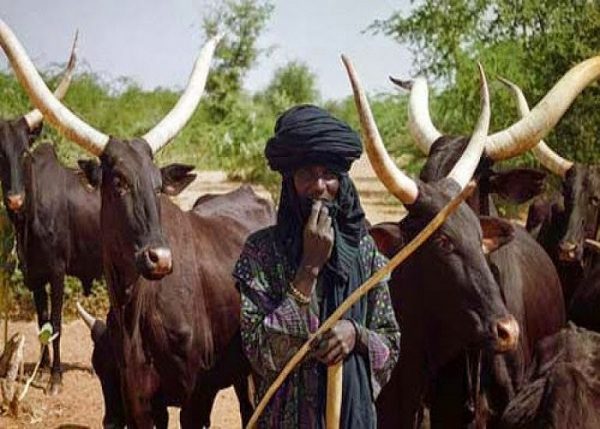We’re not violent, killer herders – Fulani Christians