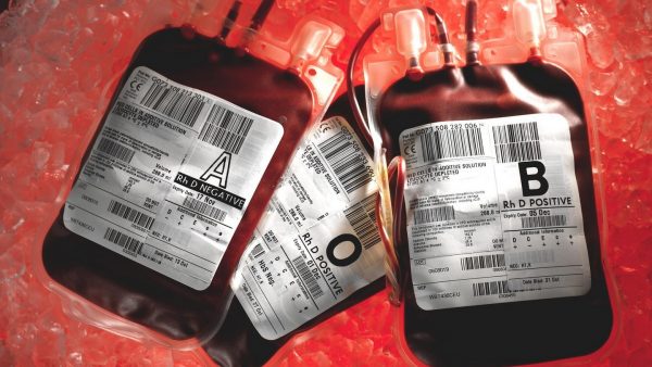 Veritas Kapital partners NBSC on blood donation