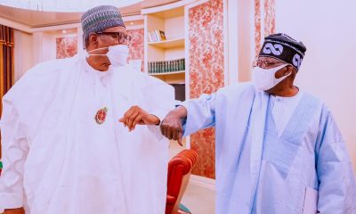 I have informed Buhari of my presidential ambition - Tinubu