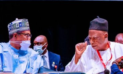 Why we’re selling presidential nomination form for N100m - APC